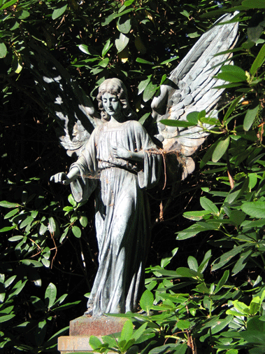 Blinded By The Light