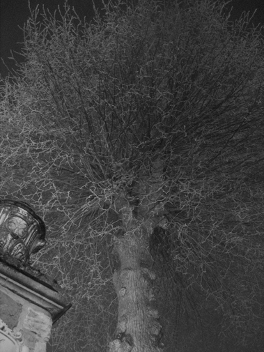 Winternightimpression